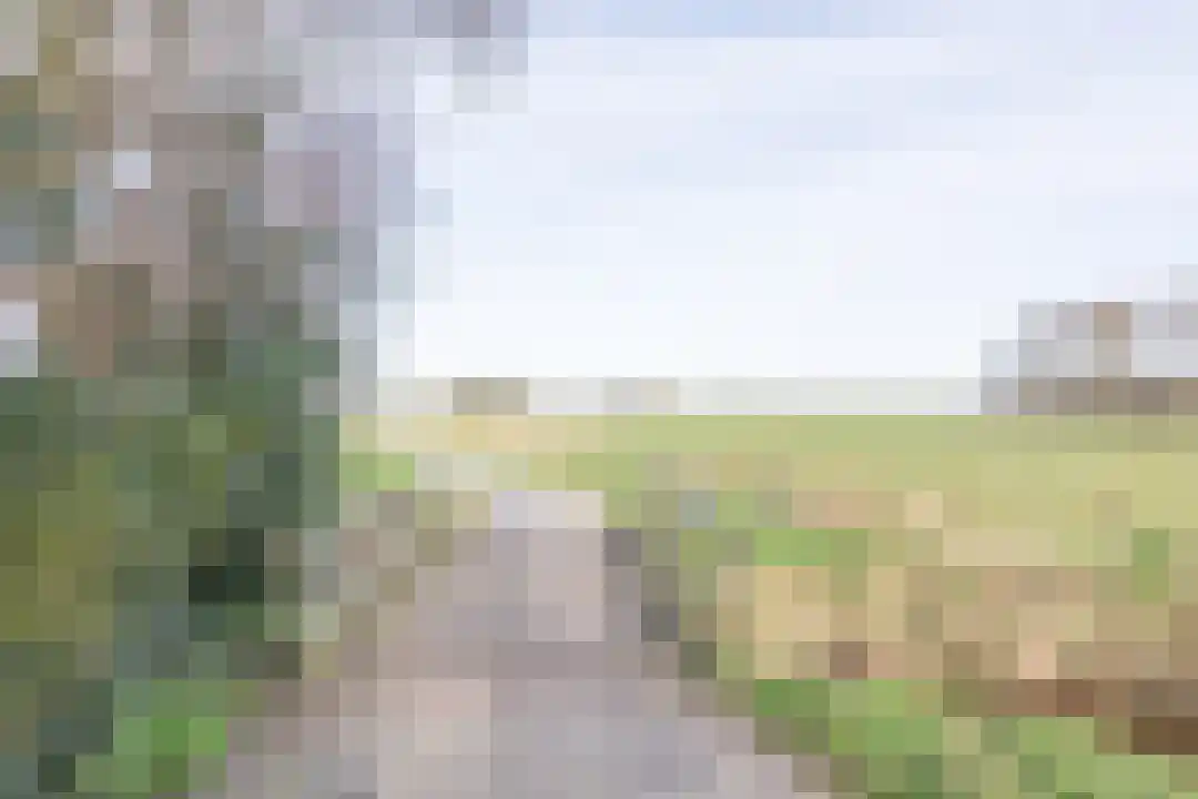 Houtjeslaan 30 Schoorl thumbnail 46