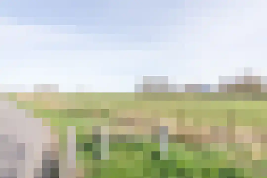 Houtjeslaan 30 Schoorl thumbnail 48