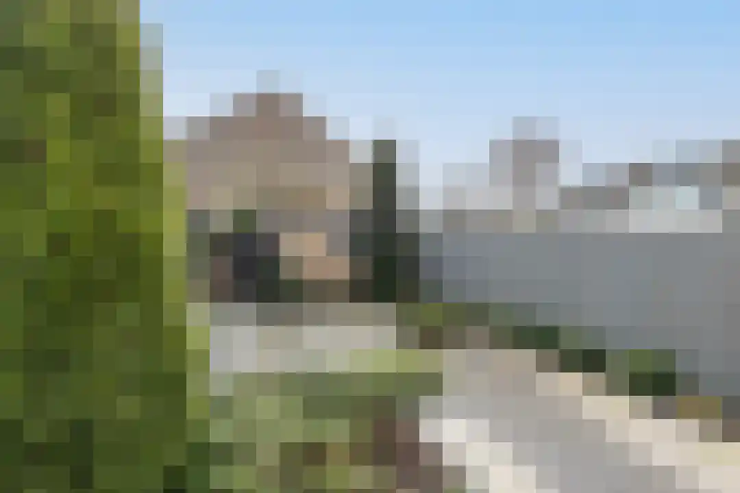 Houtjeslaan 30 Schoorl thumbnail 5