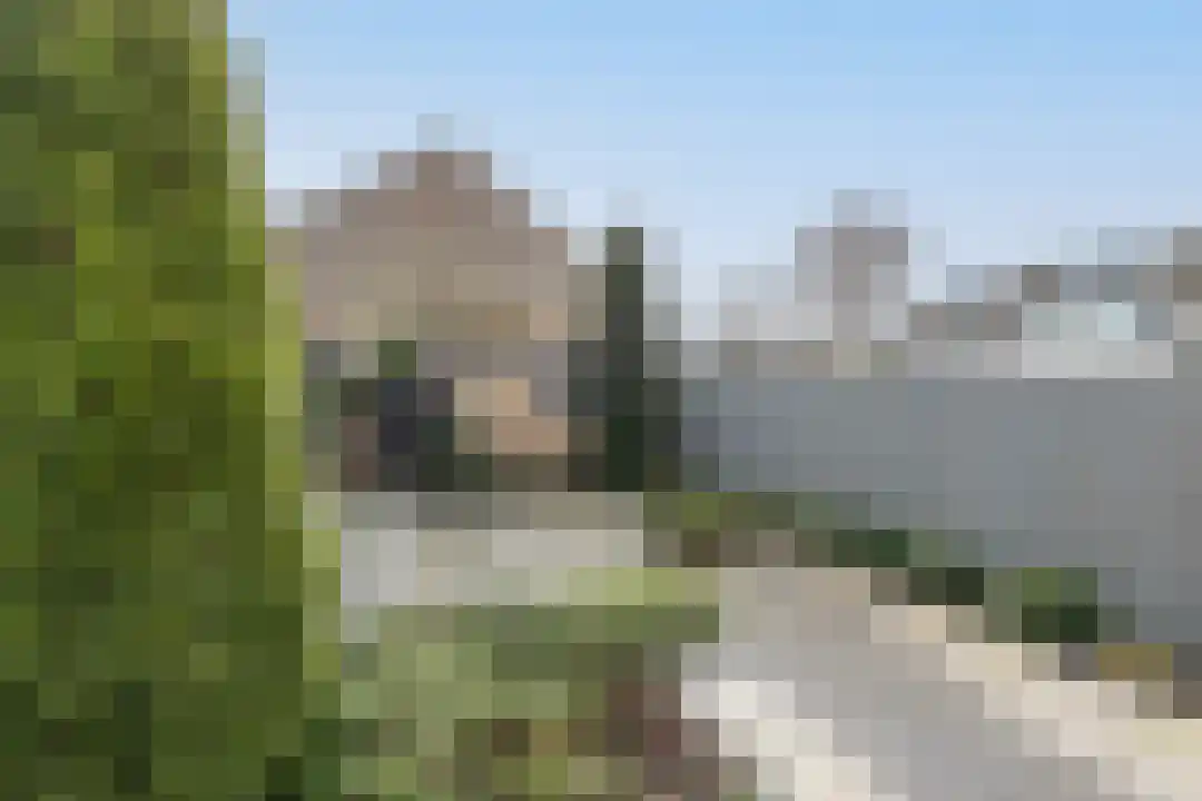Houtjeslaan 30 Schoorl thumbnail 5