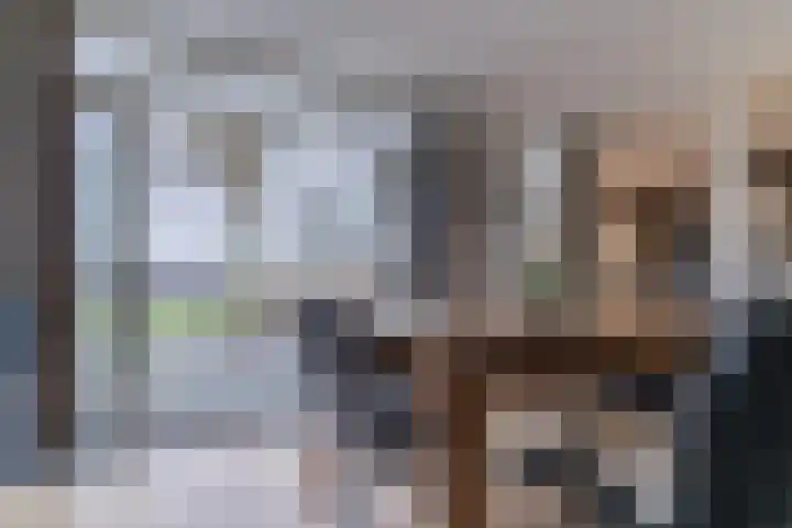 Houtjeslaan 51 Schoorl thumbnail 13