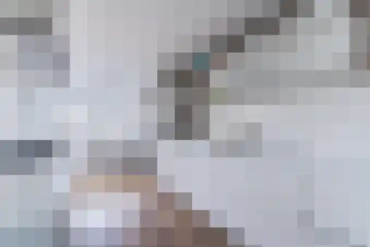 Houtjeslaan 51 Schoorl thumbnail 15