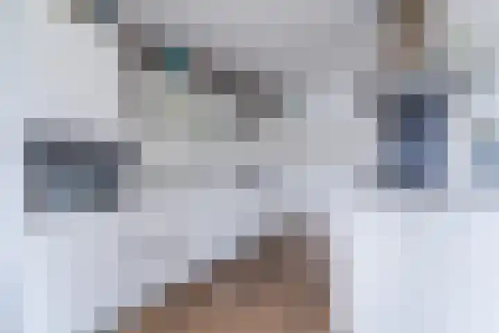Houtjeslaan 51 Schoorl thumbnail 16