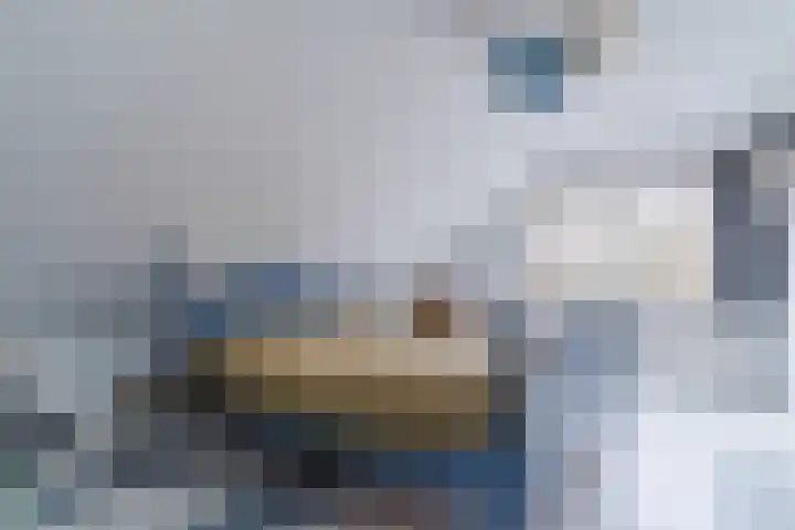 Houtjeslaan 51 Schoorl thumbnail 21