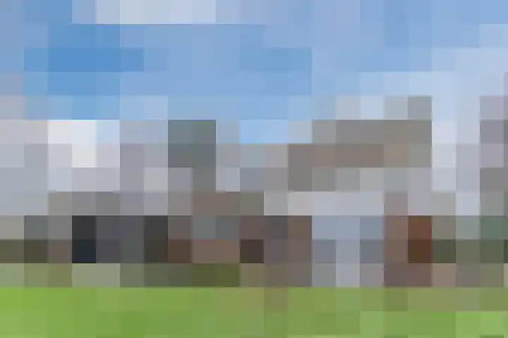 Houtjeslaan 51 Schoorl thumbnail 32