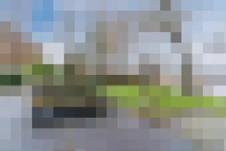 Houtjeslaan 51 Schoorl thumbnail 34