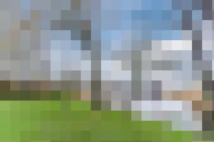 Houtjeslaan 51 Schoorl thumbnail 35