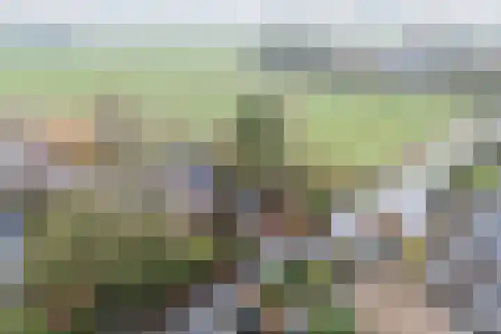 Houtjeslaan 51 Schoorl thumbnail 39