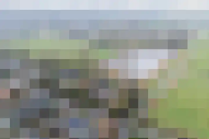 Houtjeslaan 51 Schoorl thumbnail 4