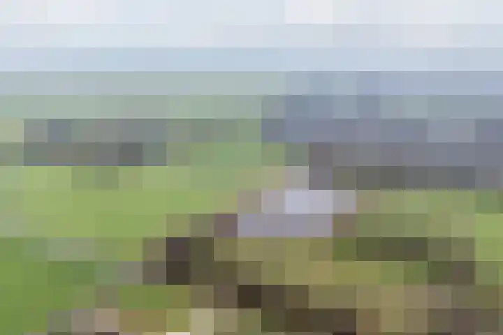 Houtjeslaan 51 Schoorl thumbnail 40