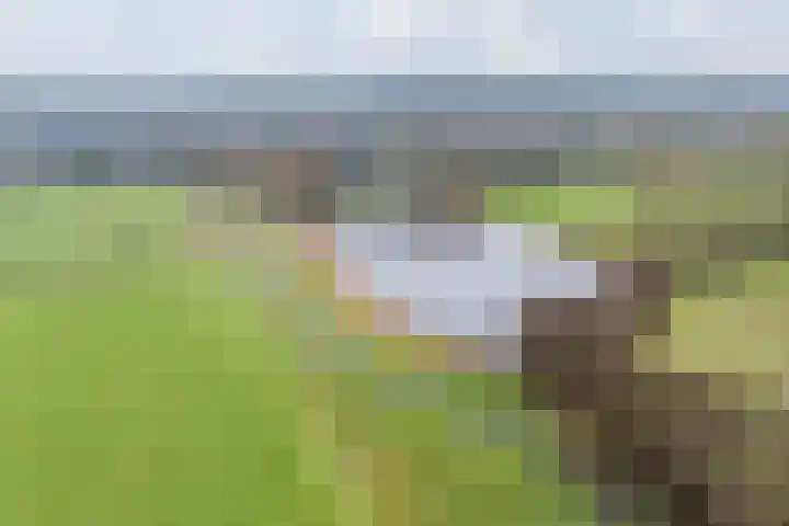 Houtjeslaan 51 Schoorl thumbnail 41
