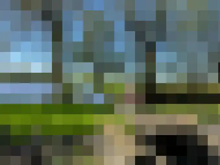 Houtjeslaan 51 Schoorl thumbnail 42