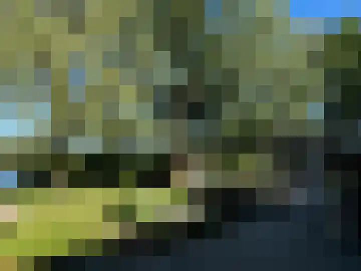 Houtjeslaan 51 Schoorl thumbnail 44