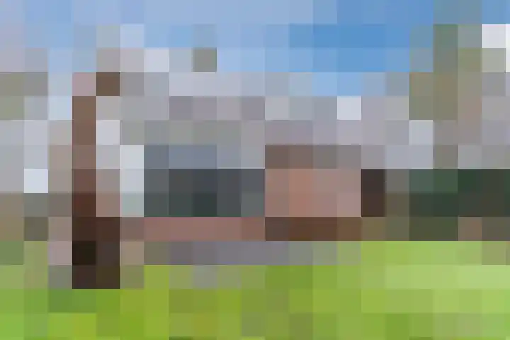 Houtjeslaan 51 Schoorl thumbnail 5