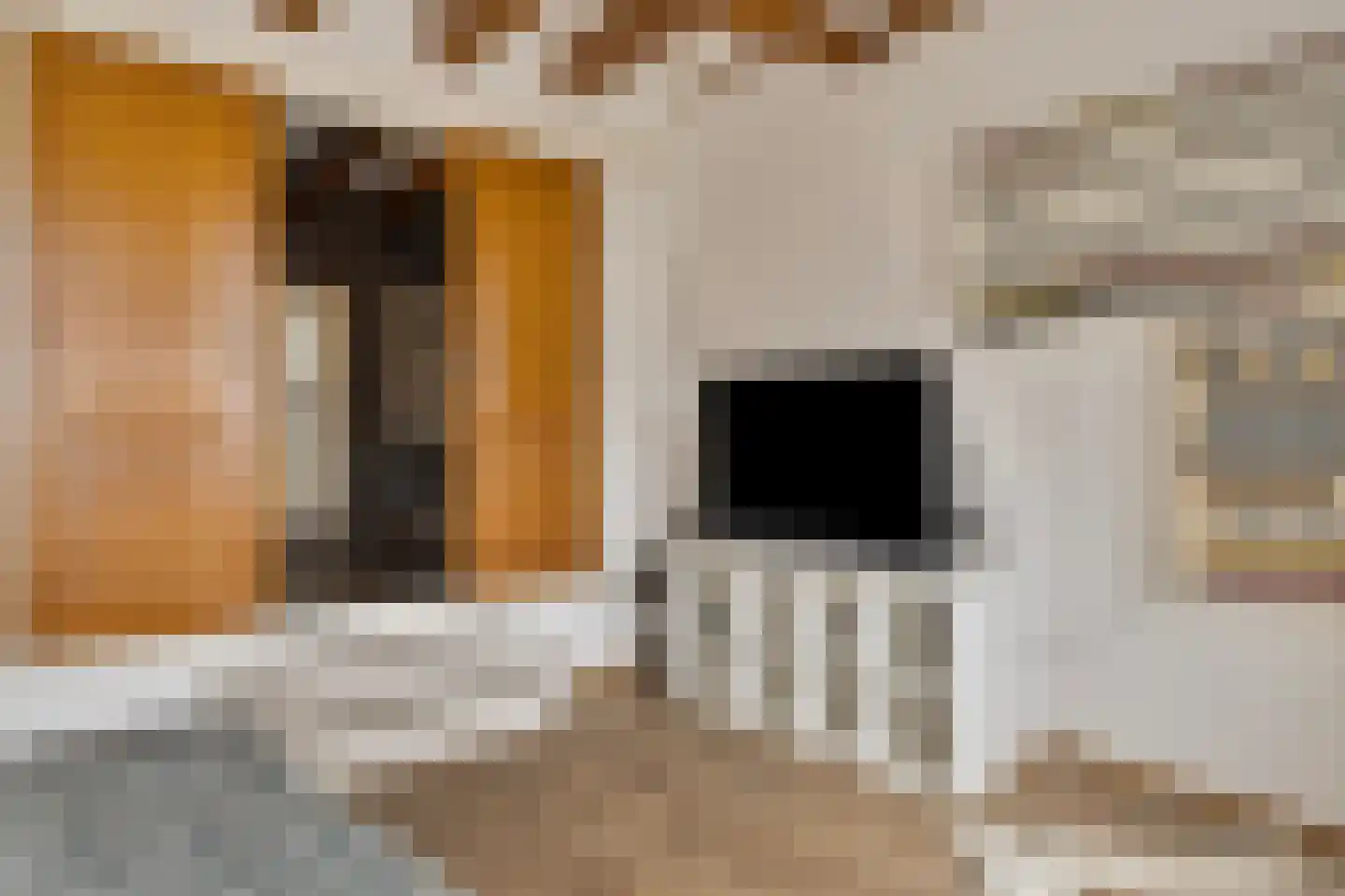 Houtkaai 19 Middelburg thumbnail 10