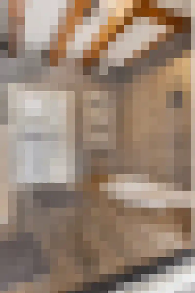 Houtkaai 19 Middelburg thumbnail 11