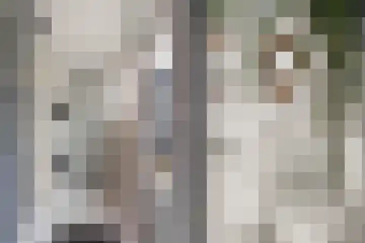Houtkade 1 Wormerveer thumbnail 16