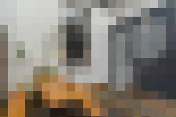 Houtkade 1 Wormerveer thumbnail 19