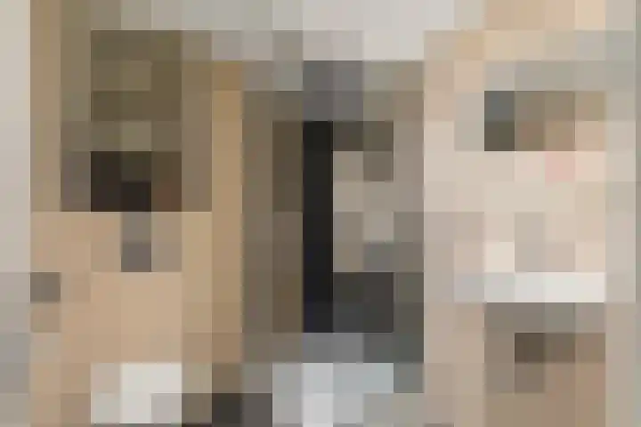 Houtkade 1 Wormerveer thumbnail 31