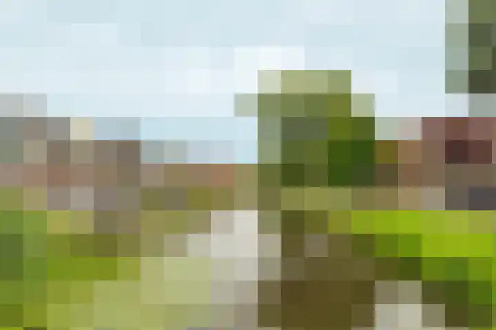 Houtkade 1 Wormerveer thumbnail 34