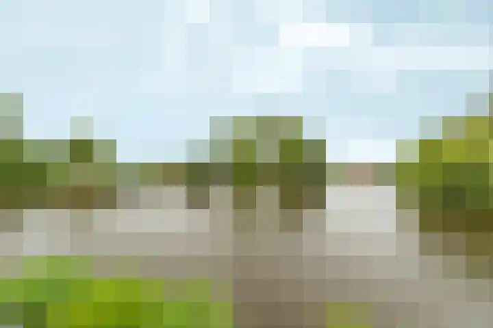 Houtkade 1 Wormerveer thumbnail 35
