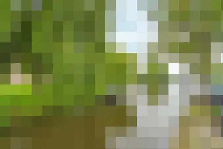 Houtkade 1 Wormerveer thumbnail 6