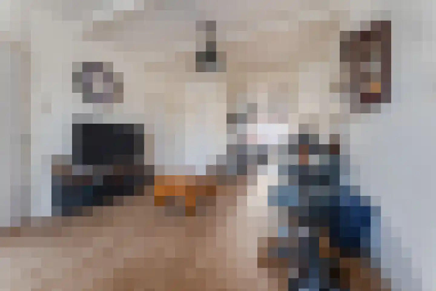 Houtkade 18 Wormerveer thumbnail 10