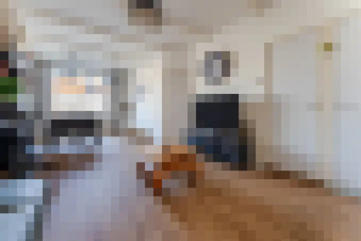 Houtkade 18 Wormerveer thumbnail 11