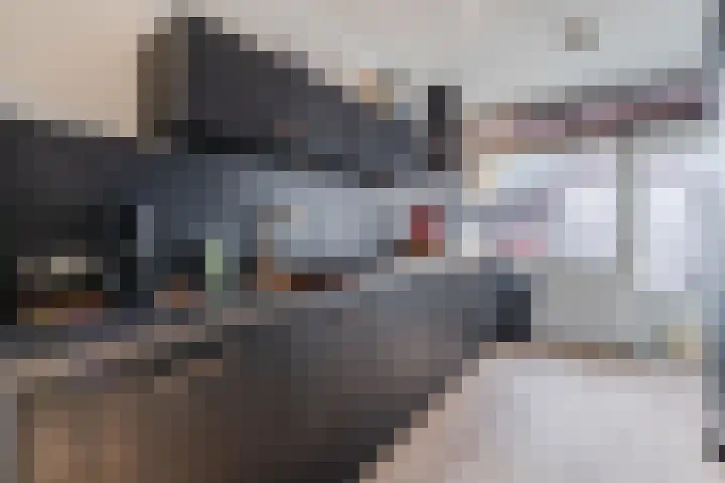 Houtkade 18 Wormerveer thumbnail 15
