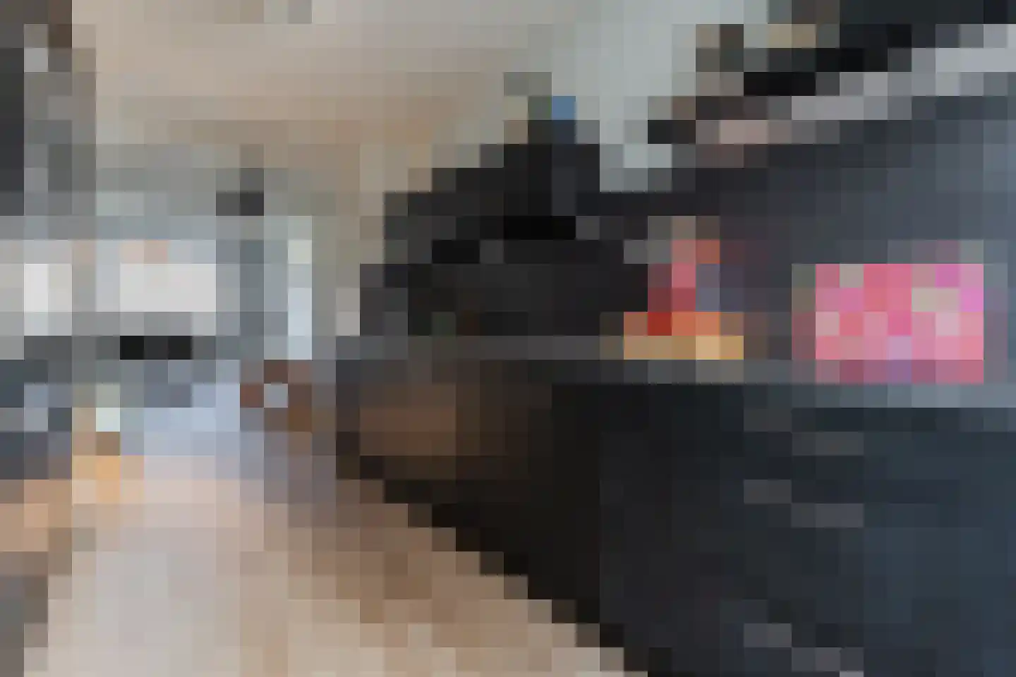 Houtkade 18 Wormerveer thumbnail 17