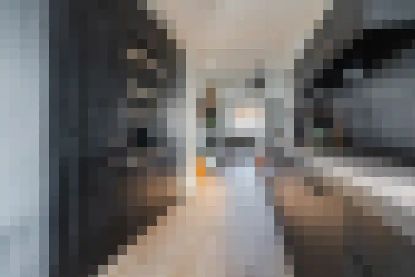 Houtkade 18 Wormerveer thumbnail 18