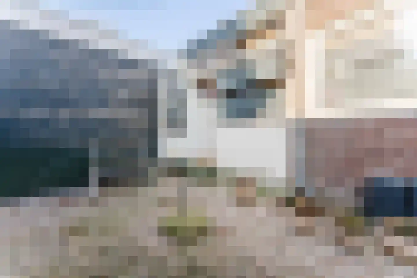Houtkade 18 Wormerveer thumbnail 38
