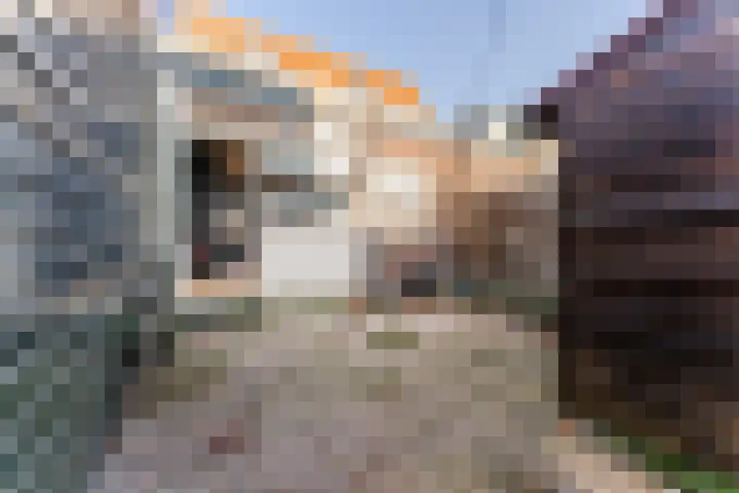 Houtkade 18 Wormerveer thumbnail 41