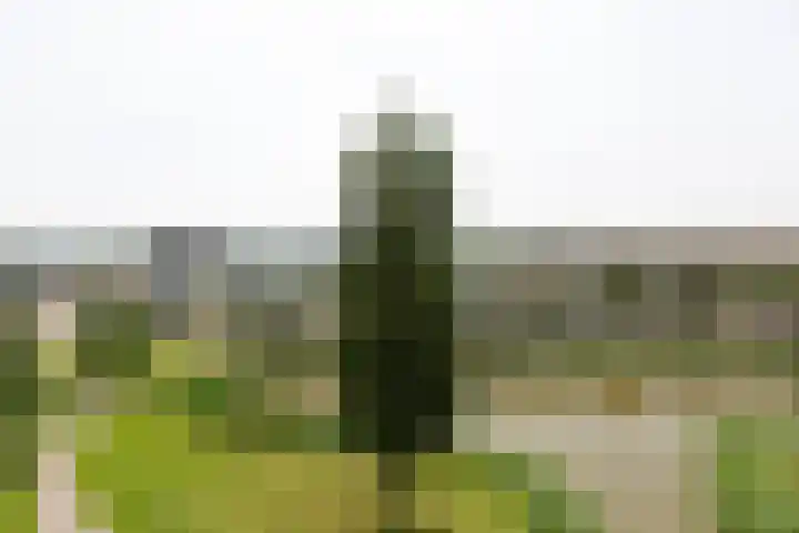 Houtkade 41 Den Haag thumbnail 17