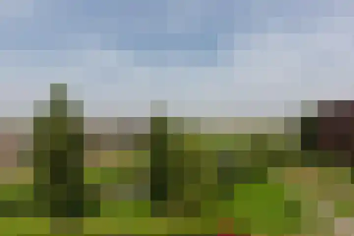 Houtkade 41 Den Haag thumbnail 34