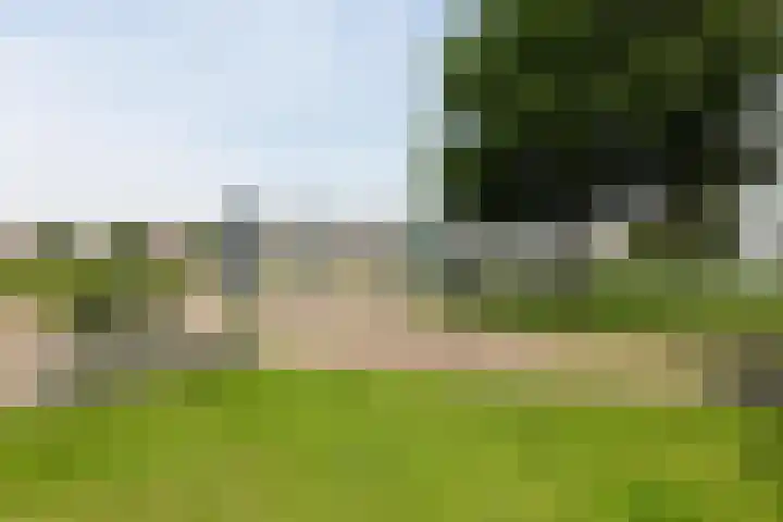 Houtkade 41 Den Haag thumbnail 41