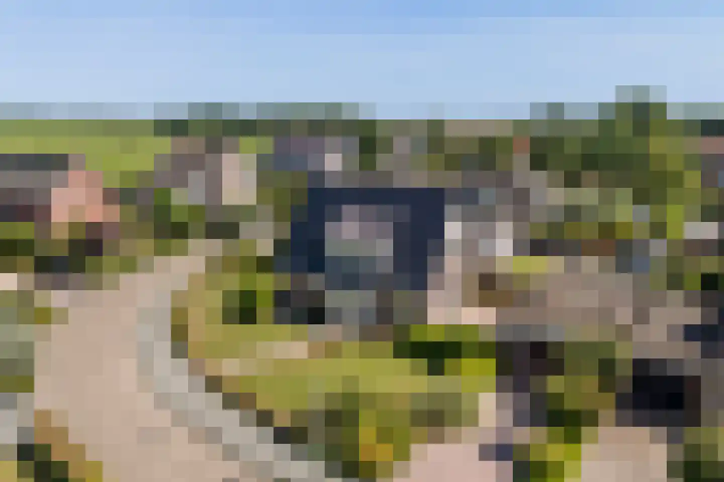 Houtkampswyk 24 De Knipe thumbnail 50