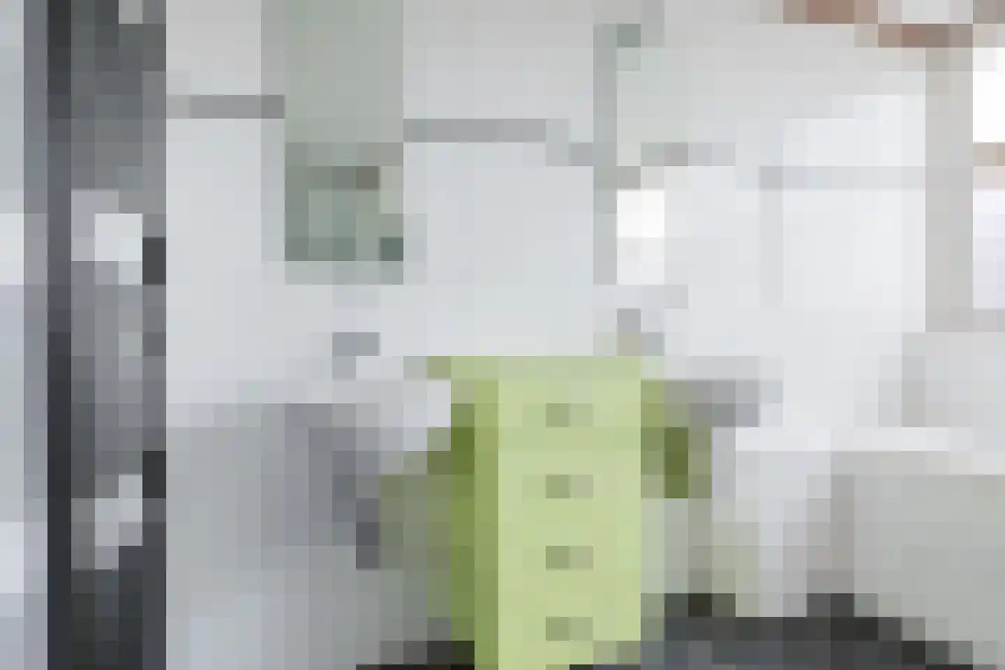 Houtkampswyk 54 De Knipe thumbnail 29
