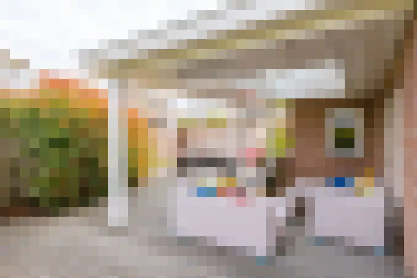 Houtkampswyk 54 De Knipe thumbnail 38