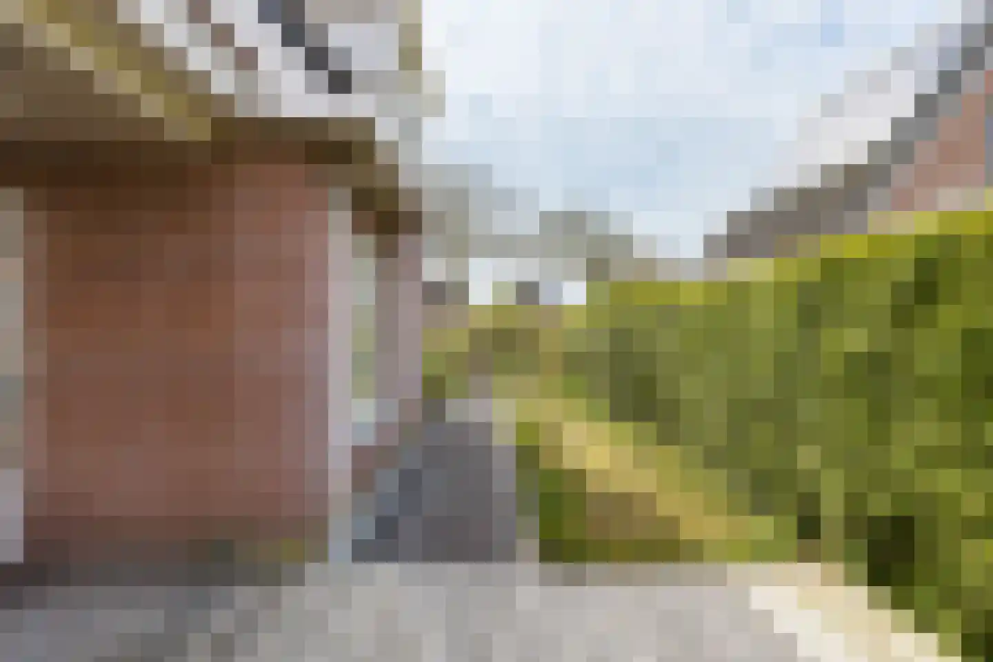 Houtkampswyk 54 De Knipe thumbnail 39