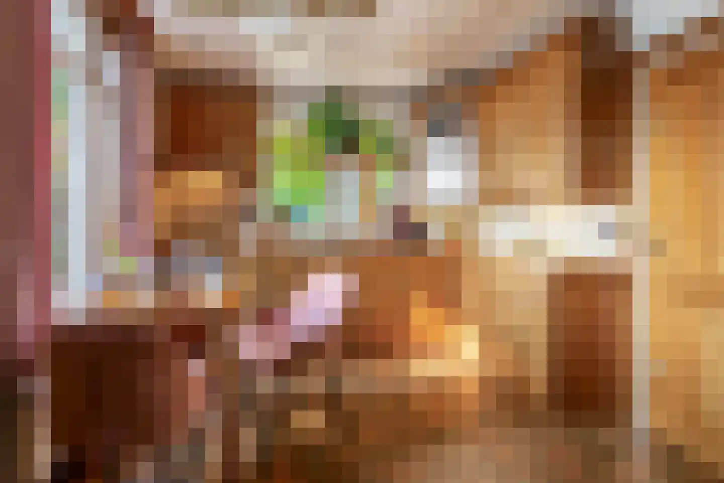 Houtkampweg 5 Otterlo thumbnail 24