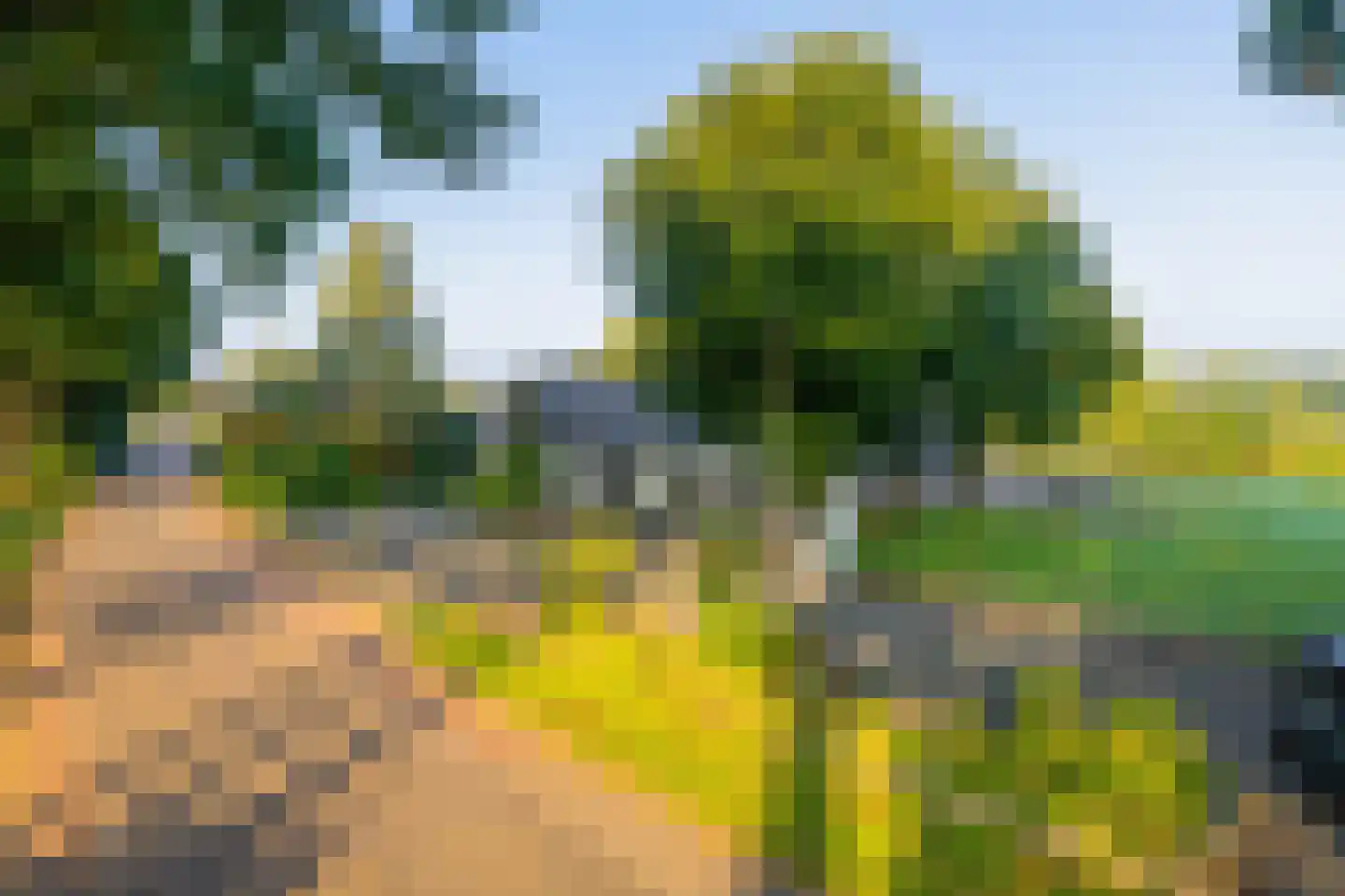 Houtkampweg 5 Otterlo thumbnail 4