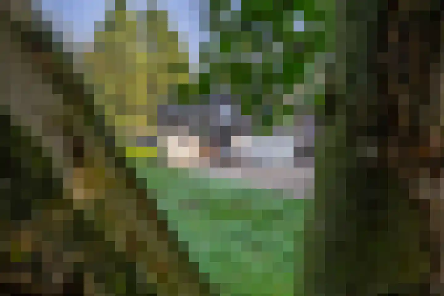Houtkampweg 5 Otterlo thumbnail 53