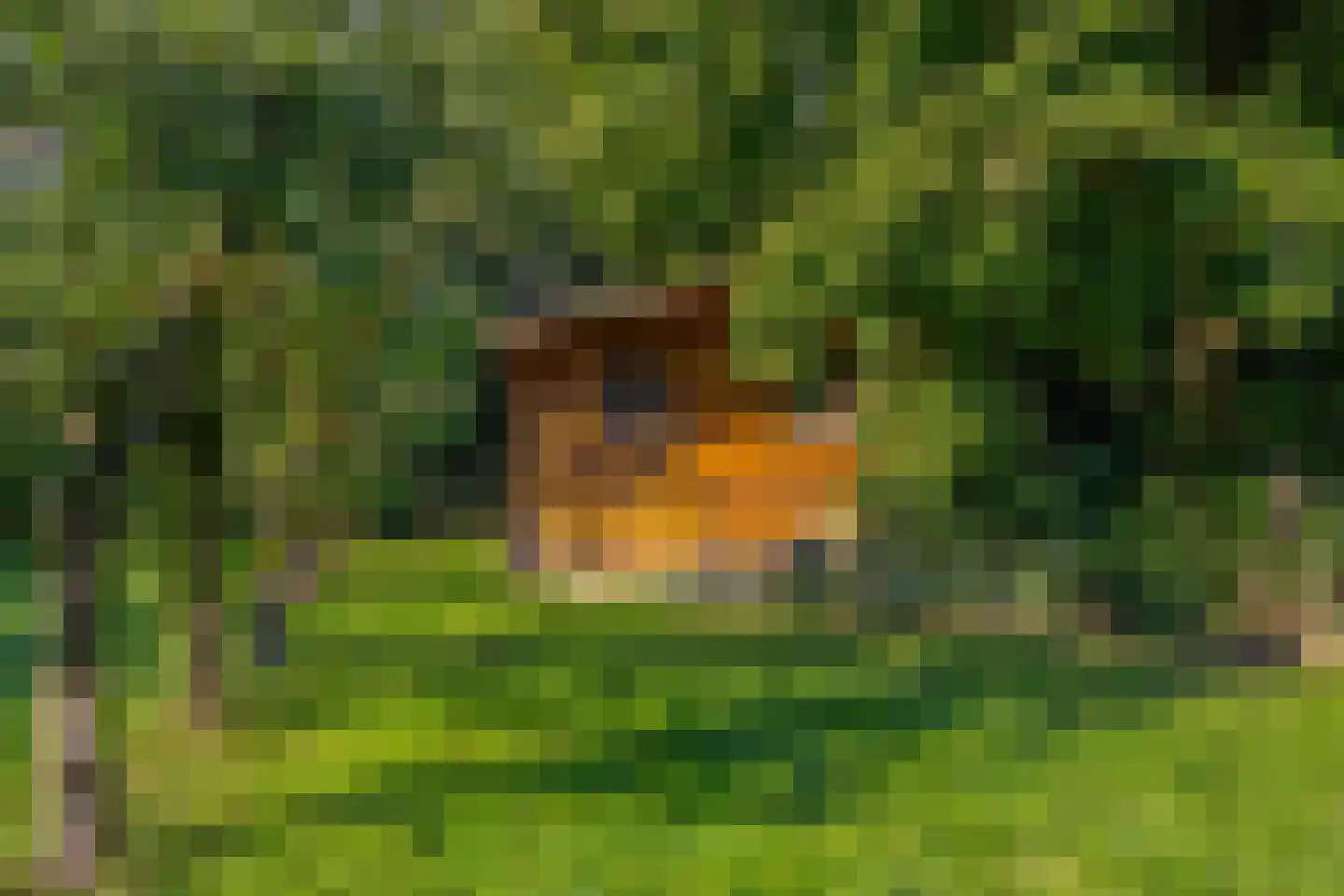 Houtkampweg 5 Otterlo thumbnail 54