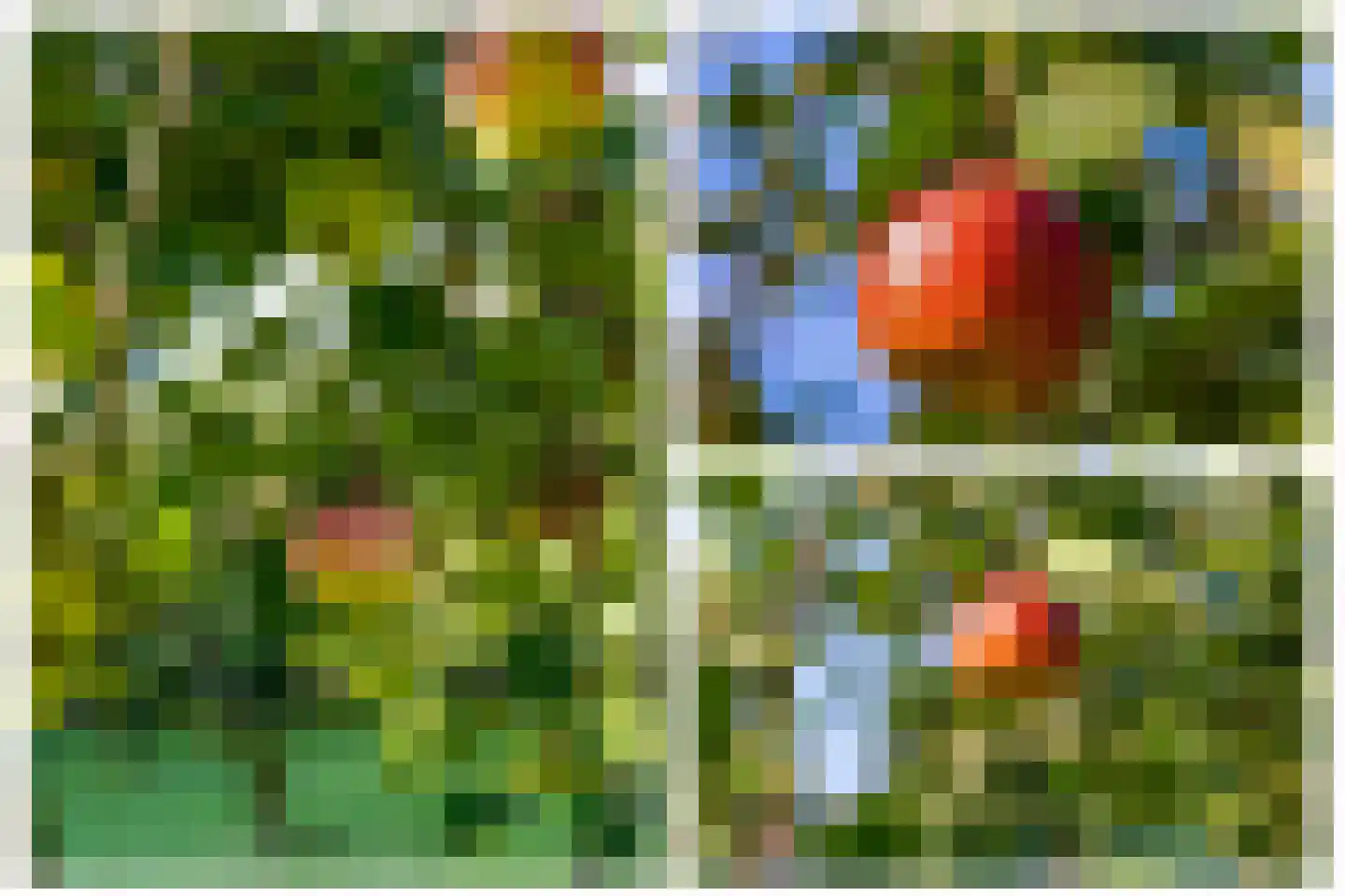 Houtkampweg 5 Otterlo thumbnail 56