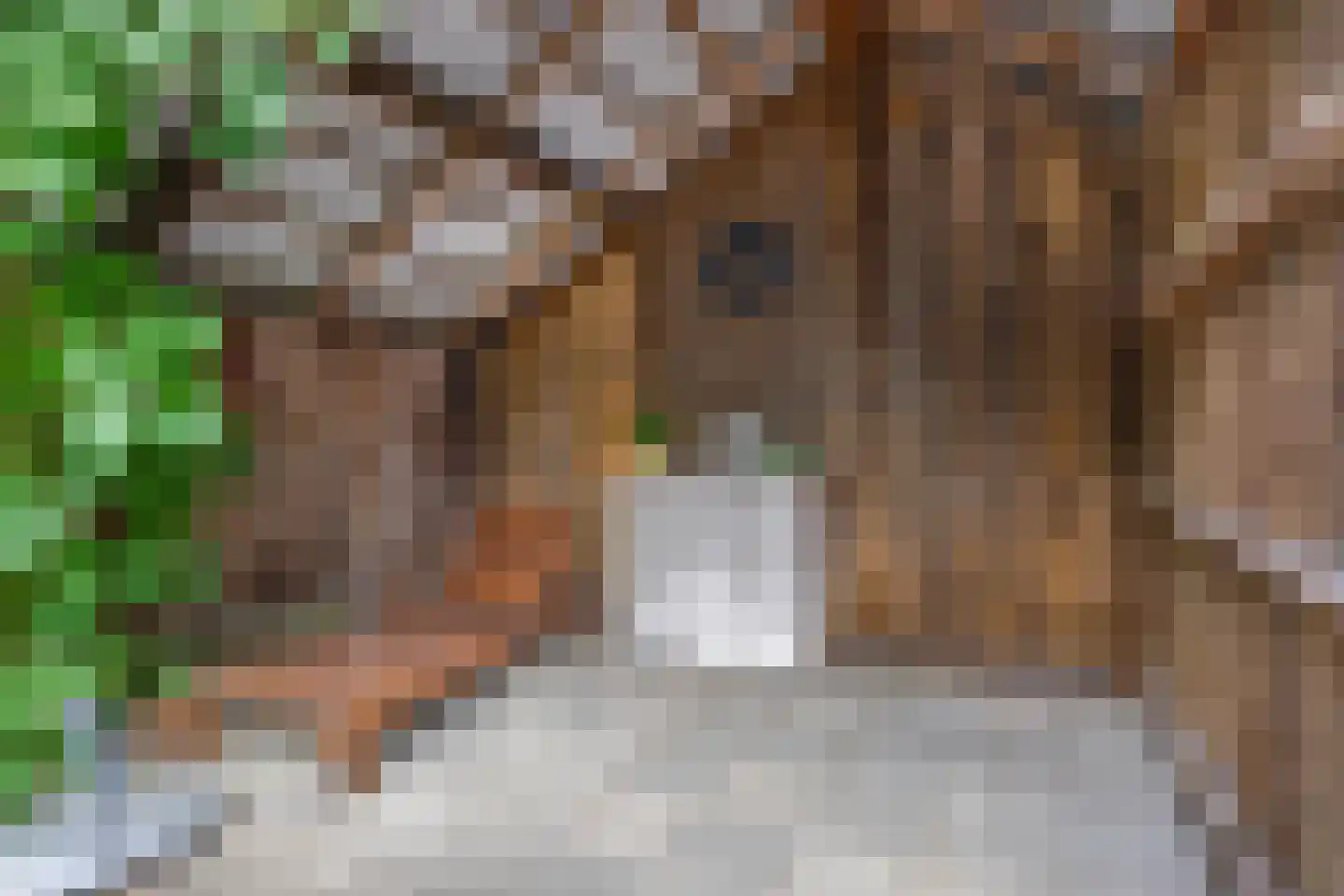 Houtkampweg 5 Otterlo thumbnail 59