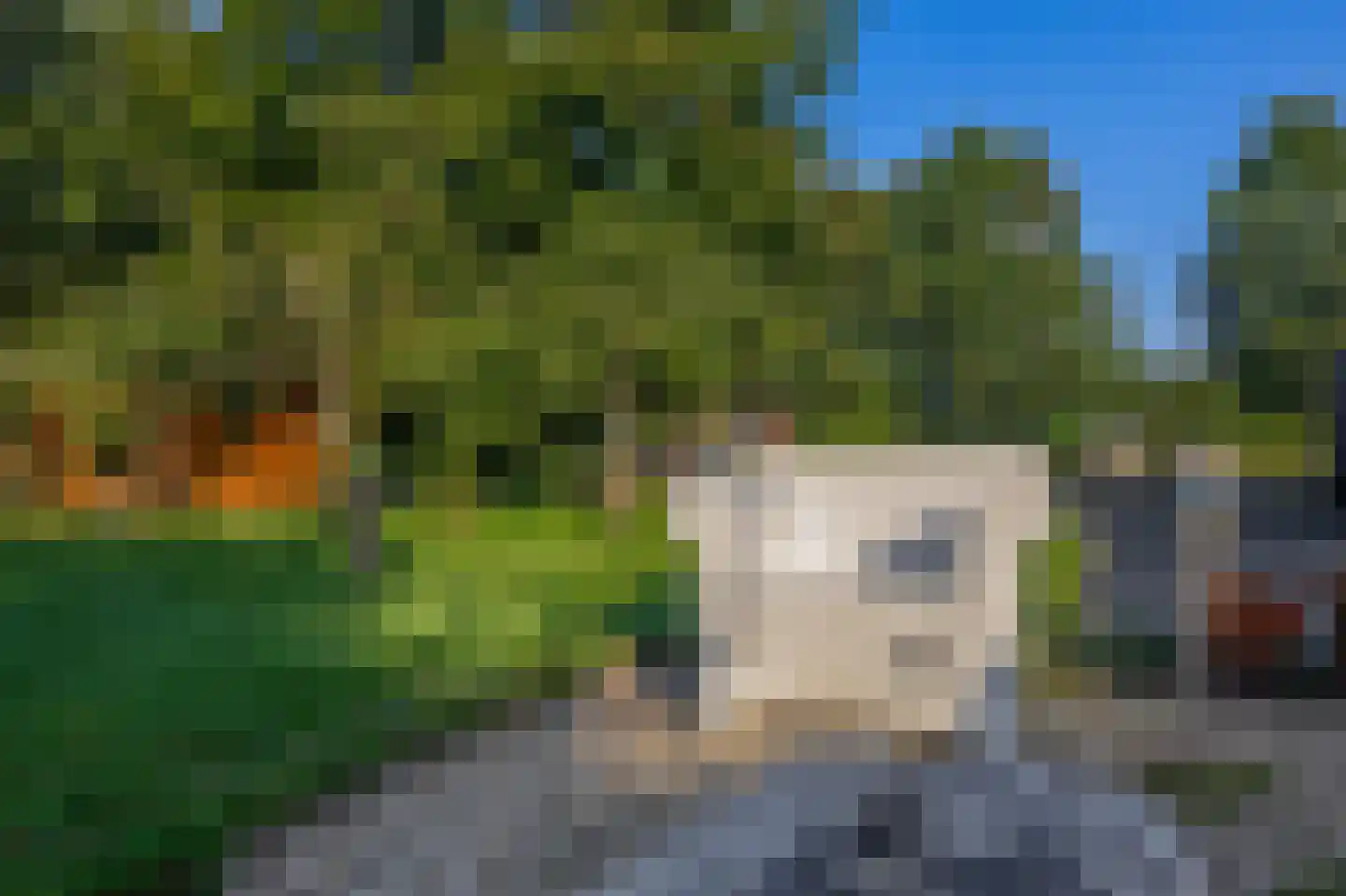 Houtkampweg 5 Otterlo thumbnail 62