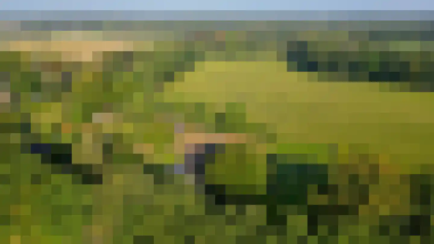 Houtkampweg 5 Otterlo thumbnail 80