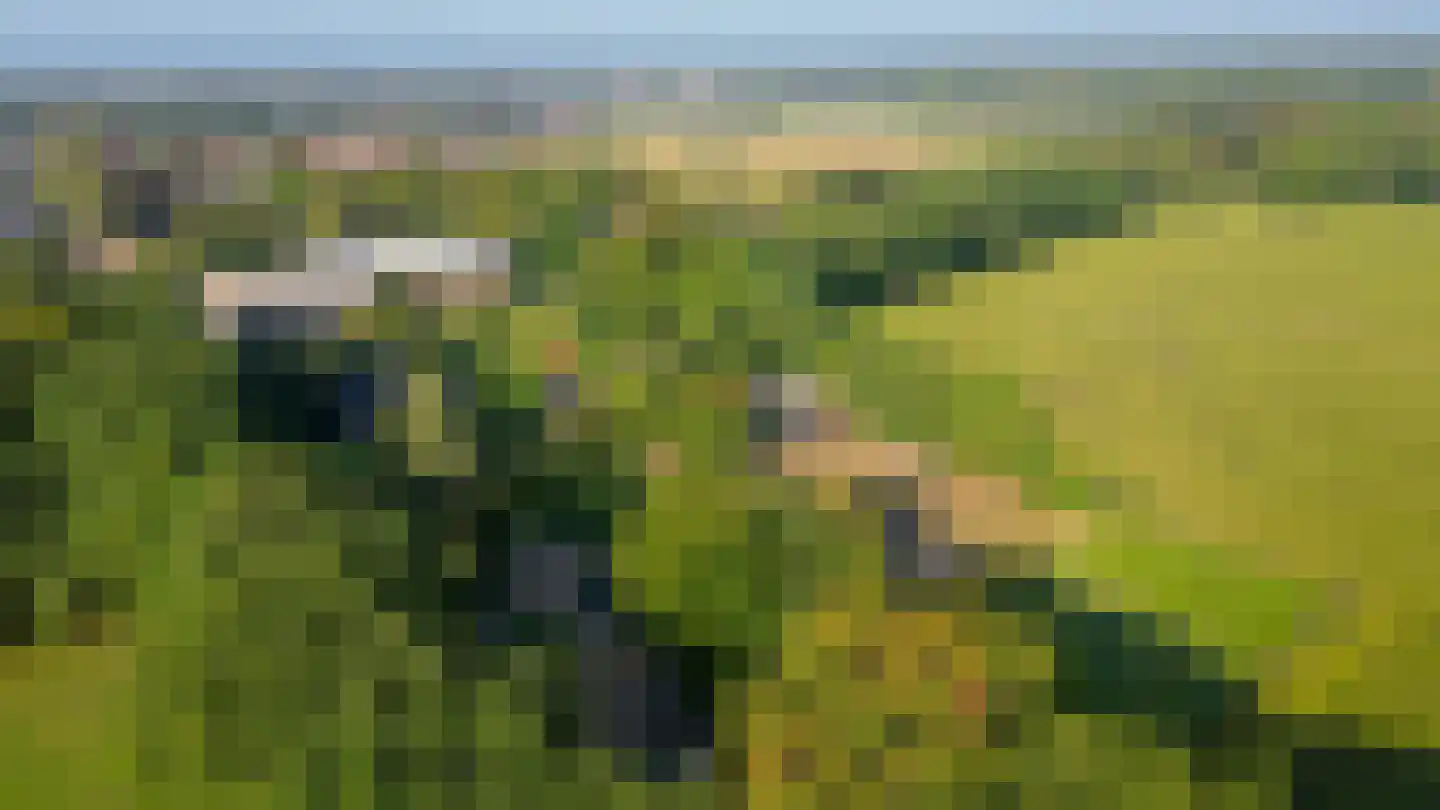Houtkampweg 5 Otterlo thumbnail 81