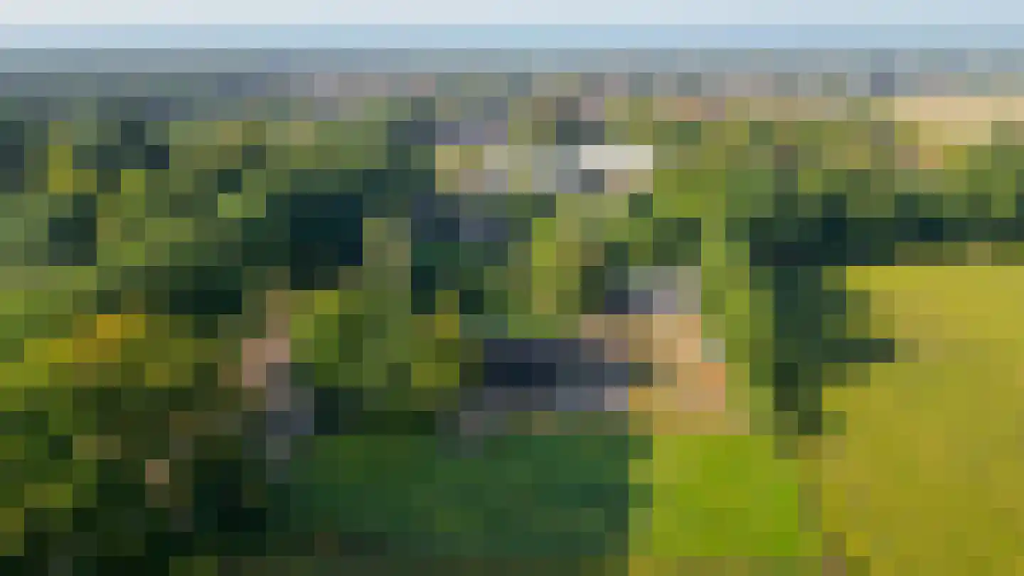 Houtkampweg 5 Otterlo thumbnail 82